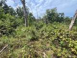 tbd Partridge - Photo 16
