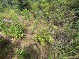 tbd Partridge - Photo 18