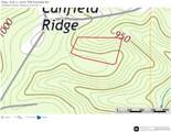 tbd Partridge - Photo 5