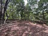 tbd Partridge - Photo 9