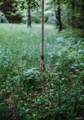 000 Yellow Springs Road - Photo 12