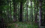 000 Yellow Springs Road - Photo 13