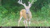 000 Yellow Springs Road - Photo 14
