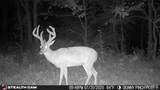 000 Yellow Springs Road - Photo 15