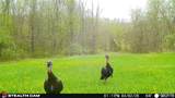 000 Yellow Springs Road - Photo 16