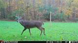 000 Yellow Springs Road - Photo 17