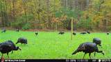 000 Yellow Springs Road - Photo 18