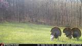 000 Yellow Springs Road - Photo 19