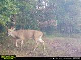 000 Yellow Springs Road - Photo 4