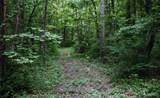 000 Yellow Springs Road - Photo 33