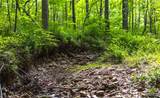 000 Yellow Springs Road - Photo 37