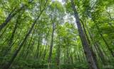 000 Yellow Springs Road - Photo 40