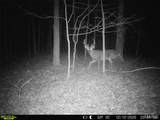 000 Yellow Springs Road - Photo 5