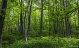 000 Yellow Springs Road - Photo 42