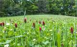 000 Yellow Springs Road - Photo 44