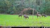 000 Yellow Springs Road - Photo 49