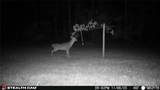 000 Yellow Springs Road - Photo 50
