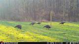 000 Yellow Springs Road - Photo 51