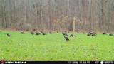 000 Yellow Springs Road - Photo 52