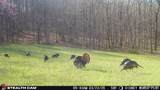 000 Yellow Springs Road - Photo 53