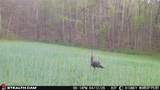 000 Yellow Springs Road - Photo 54