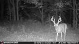 000 Yellow Springs Road - Photo 55