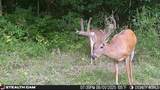 000 Yellow Springs Road - Photo 56