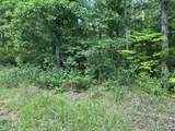 483 Buzzard Rock Road - Photo 3