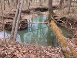 50.15 +/- Acres Pendleton Lost Creek Road - Photo 1