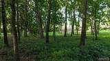 4405 County Road 242 - Photo 14