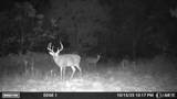 000 Aspen Road - Photo 11