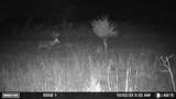 000 Aspen Road - Photo 12