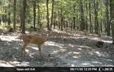 000 Aspen Road - Photo 13