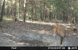 000 Aspen Road - Photo 14
