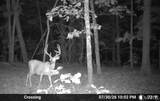 000 Aspen Road - Photo 15
