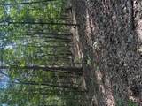 000 Aspen Road - Photo 7