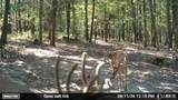 000 Aspen Road - Photo 9