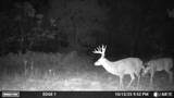 000 Aspen Road - Photo 10