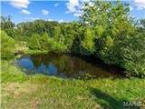 00 Spring Bluff Road - Photo 4