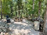 1002 Port Perry Drive - Photo 9