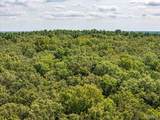 00 Fire Tower Road - Photo 11