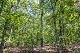 00 Fire Tower Road - Photo 16