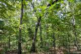 00 Fire Tower Road - Photo 18