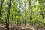 00 Fire Tower Road - Photo 19