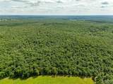 00 Fire Tower Road - Photo 21
