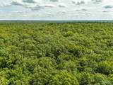 00 Fire Tower Road - Photo 26