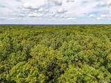 00 Fire Tower Road - Photo 4