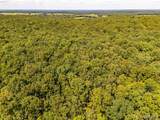 00 Fire Tower Road - Photo 6