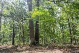 00 Fire Tower Road - Photo 9