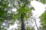 00 Hiawatha Drive - Photo 8